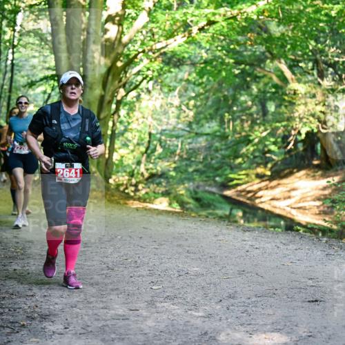28.09.2025 - 33. Volkslauf durch das schöne Alstertal Dr. Thomas Lammeyer http://msf.ph/oto/8956027 28.09.2025 10:43:36 Laufen 2641 meine-sportfotos.de