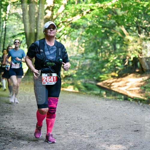 28.09.2025 - 33. Volkslauf durch das schöne Alstertal Dr. Thomas Lammeyer http://msf.ph/oto/8956033 28.09.2025 10:43:37 Laufen 2641 meine-sportfotos.de