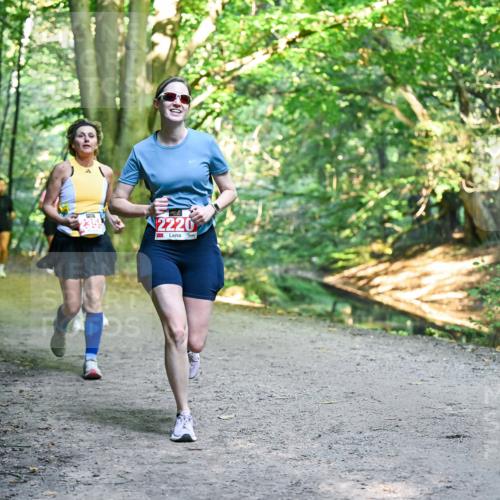 28.09.2025 - 33. Volkslauf durch das schöne Alstertal Dr. Thomas Lammeyer http://msf.ph/oto/8956044 28.09.2025 10:43:39 Laufen 2220 meine-sportfotos.de
