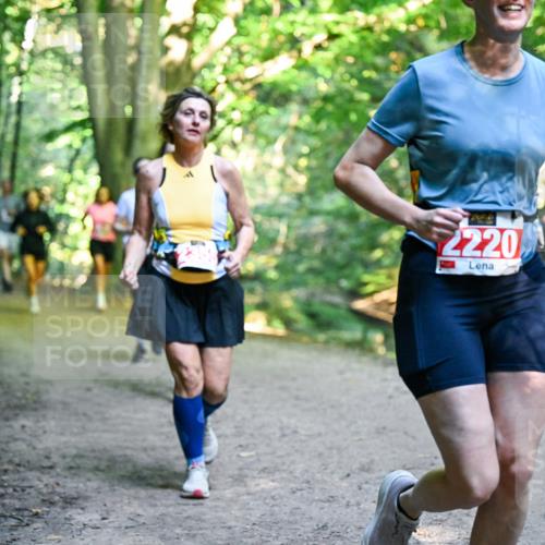 28.09.2025 - 33. Volkslauf durch das schöne Alstertal Dr. Thomas Lammeyer http://msf.ph/oto/8956052 28.09.2025 10:43:40 Laufen 2220 meine-sportfotos.de