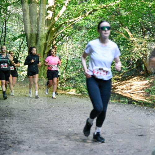 28.09.2025 - 33. Volkslauf durch das schöne Alstertal Dr. Thomas Lammeyer http://msf.ph/oto/8956068 28.09.2025 10:43:42 Laufen 2372 meine-sportfotos.de