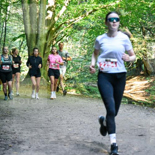 28.09.2025 - 33. Volkslauf durch das schöne Alstertal Dr. Thomas Lammeyer http://msf.ph/oto/8956069 28.09.2025 10:43:43 Laufen 10, 2372, 2378, 320, 2254 meine-sportfotos.de