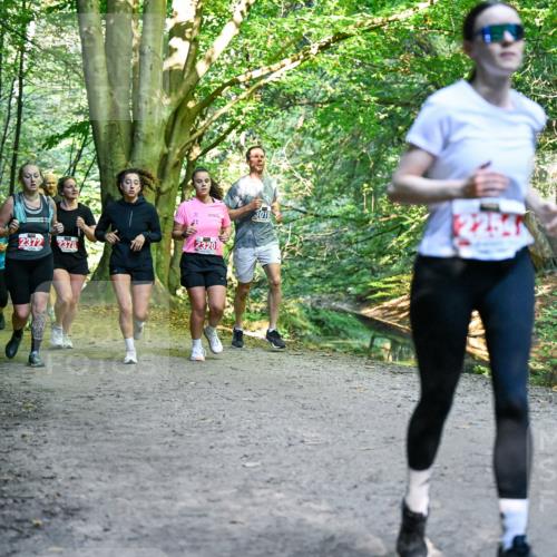 28.09.2025 - 33. Volkslauf durch das schöne Alstertal Dr. Thomas Lammeyer http://msf.ph/oto/8956071 28.09.2025 10:43:43 Laufen 1037, 2372, 2378, 2320, 3018, 2254 meine-sportfotos.de