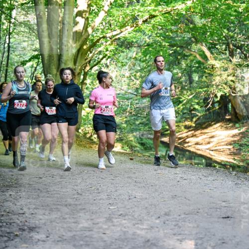 28.09.2025 - 33. Volkslauf durch das schöne Alstertal Dr. Thomas Lammeyer http://msf.ph/oto/8956077 28.09.2025 10:43:43 Laufen 2372, 1037, 2378, 11, 2320, 3018 meine-sportfotos.de