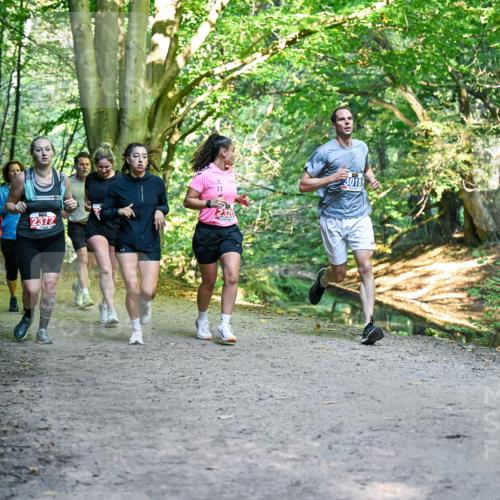 28.09.2025 - 33. Volkslauf durch das schöne Alstertal Dr. Thomas Lammeyer http://msf.ph/oto/8956078 28.09.2025 10:43:44 Laufen 1037, 2372, 2320, 3018 meine-sportfotos.de