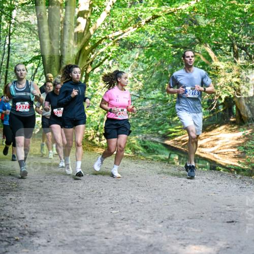 28.09.2025 - 33. Volkslauf durch das schöne Alstertal Dr. Thomas Lammeyer http://msf.ph/oto/8956079 28.09.2025 10:43:44 Laufen 1037, 2372, 237, 11, 2320, 3018 meine-sportfotos.de