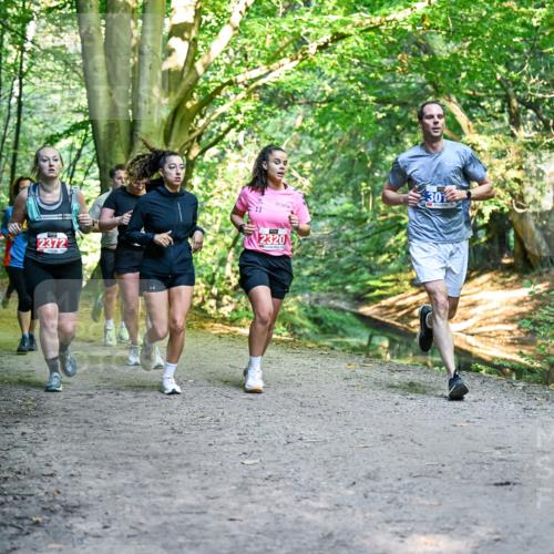 28.09.2025 - 33. Volkslauf durch das schöne Alstertal Dr. Thomas Lammeyer http://msf.ph/oto/8956080 28.09.2025 10:43:44 Laufen 30, 2320, 2372, 1037 meine-sportfotos.de