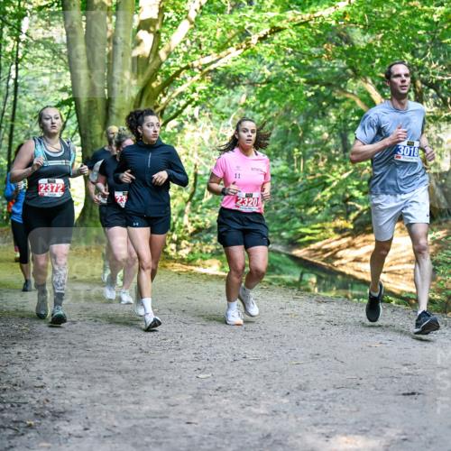 28.09.2025 - 33. Volkslauf durch das schöne Alstertal Dr. Thomas Lammeyer http://msf.ph/oto/8956082 28.09.2025 10:43:44 Laufen 1032, 2372, 11, 2320, 3018 meine-sportfotos.de