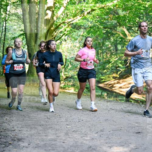 28.09.2025 - 33. Volkslauf durch das schöne Alstertal Dr. Thomas Lammeyer http://msf.ph/oto/8956083 28.09.2025 10:43:44 Laufen 1037, 2372, 2320, 3018 meine-sportfotos.de