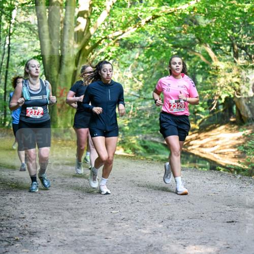 28.09.2025 - 33. Volkslauf durch das schöne Alstertal Dr. Thomas Lammeyer http://msf.ph/oto/8956087 28.09.2025 10:43:45 Laufen 2372, 1037, 3018, 2320 meine-sportfotos.de