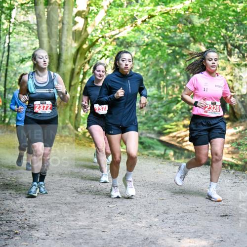 28.09.2025 - 33. Volkslauf durch das schöne Alstertal Dr. Thomas Lammeyer http://msf.ph/oto/8956089 28.09.2025 10:43:45 Laufen 2372, 2378, 11, 2320 meine-sportfotos.de