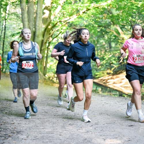 28.09.2025 - 33. Volkslauf durch das schöne Alstertal Dr. Thomas Lammeyer http://msf.ph/oto/8956092 28.09.2025 10:43:45 Laufen 1837, 2372, 11, 2320 meine-sportfotos.de