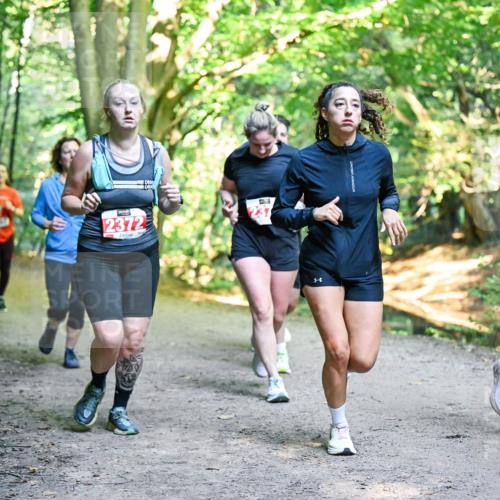 28.09.2025 - 33. Volkslauf durch das schöne Alstertal Dr. Thomas Lammeyer http://msf.ph/oto/8956095 28.09.2025 10:43:46 Laufen 2372, 237, 11, 2320 meine-sportfotos.de