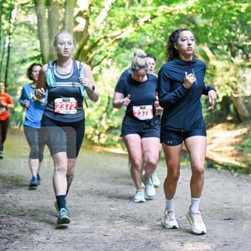 28.09.2025 - 33. Volkslauf durch das schöne Alstertal Dr. Thomas Lammeyer http://msf.ph/oto/8956096 28.09.2025 10:43:46 Laufen 2378 meine-sportfotos.de