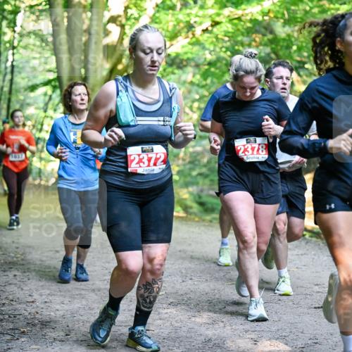 28.09.2025 - 33. Volkslauf durch das schöne Alstertal Dr. Thomas Lammeyer http://msf.ph/oto/8956100 28.09.2025 10:43:47 Laufen 1837, 2372, 2378 meine-sportfotos.de