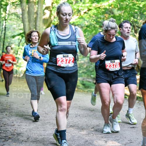 28.09.2025 - 33. Volkslauf durch das schöne Alstertal Dr. Thomas Lammeyer http://msf.ph/oto/8956101 28.09.2025 10:43:47 Laufen 2372, 2378 meine-sportfotos.de