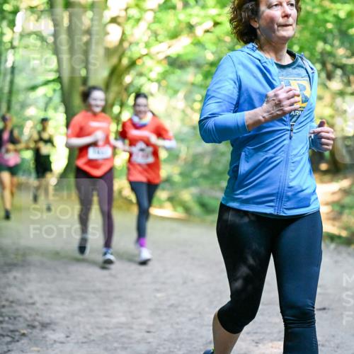 28.09.2025 - 33. Volkslauf durch das schöne Alstertal Dr. Thomas Lammeyer http://msf.ph/oto/8956112 28.09.2025 10:43:48 Laufen  meine-sportfotos.de