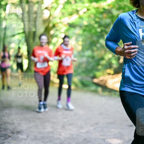 28.09.2025 - 33. Volkslauf durch das schöne Alstertal Dr. Thomas Lammeyer http://msf.ph/oto/8956114 28.09.2025 10:43:49 Laufen  meine-sportfotos.de