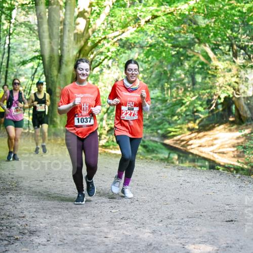 28.09.2025 - 33. Volkslauf durch das schöne Alstertal Dr. Thomas Lammeyer http://msf.ph/oto/8956115 28.09.2025 10:43:49 Laufen 1037, 2275 meine-sportfotos.de