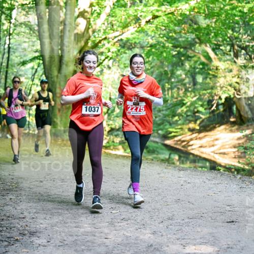 28.09.2025 - 33. Volkslauf durch das schöne Alstertal Dr. Thomas Lammeyer http://msf.ph/oto/8956116 28.09.2025 10:43:49 Laufen 1037, 2275 meine-sportfotos.de
