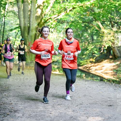 28.09.2025 - 33. Volkslauf durch das schöne Alstertal Dr. Thomas Lammeyer http://msf.ph/oto/8956117 28.09.2025 10:43:49 Laufen 037, 2275 meine-sportfotos.de