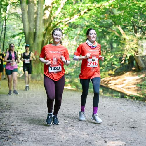 28.09.2025 - 33. Volkslauf durch das schöne Alstertal Dr. Thomas Lammeyer http://msf.ph/oto/8956118 28.09.2025 10:43:49 Laufen 1037, 2275 meine-sportfotos.de