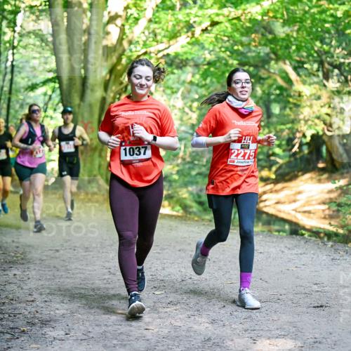 28.09.2025 - 33. Volkslauf durch das schöne Alstertal Dr. Thomas Lammeyer http://msf.ph/oto/8956119 28.09.2025 10:43:50 Laufen 1037, 2275 meine-sportfotos.de