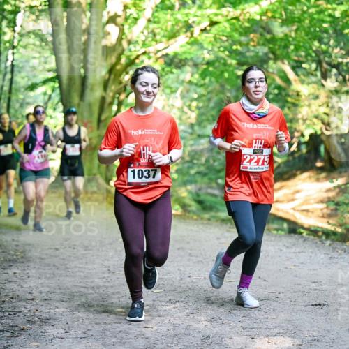 28.09.2025 - 33. Volkslauf durch das schöne Alstertal Dr. Thomas Lammeyer http://msf.ph/oto/8956121 28.09.2025 10:43:50 Laufen 30, 1037, 2275 meine-sportfotos.de