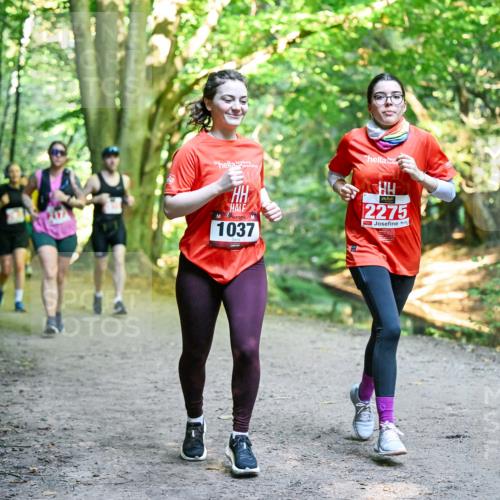 28.09.2025 - 33. Volkslauf durch das schöne Alstertal Dr. Thomas Lammeyer http://msf.ph/oto/8956122 28.09.2025 10:43:50 Laufen 1037, 2275 meine-sportfotos.de