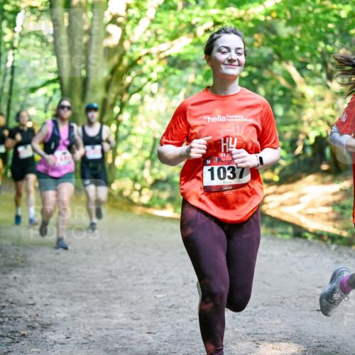 28.09.2025 - 33. Volkslauf durch das schöne Alstertal Dr. Thomas Lammeyer http://msf.ph/oto/8956126 28.09.2025 10:43:50 Laufen 30, 1037, 2275 meine-sportfotos.de