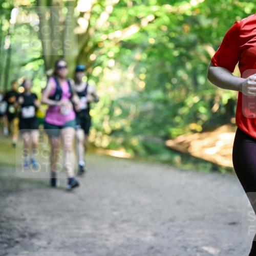 28.09.2025 - 33. Volkslauf durch das schöne Alstertal Dr. Thomas Lammeyer http://msf.ph/oto/8956128 28.09.2025 10:43:51 Laufen 1037 meine-sportfotos.de