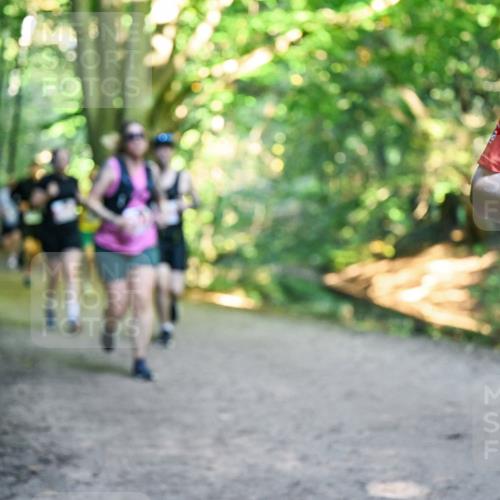 28.09.2025 - 33. Volkslauf durch das schöne Alstertal Dr. Thomas Lammeyer http://msf.ph/oto/8956129 28.09.2025 10:43:51 Laufen 40 meine-sportfotos.de