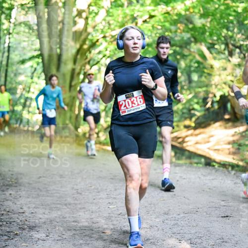 28.09.2025 - 33. Volkslauf durch das schöne Alstertal Dr. Thomas Lammeyer http://msf.ph/oto/8956146 28.09.2025 10:43:54 Laufen 2036, 391 meine-sportfotos.de