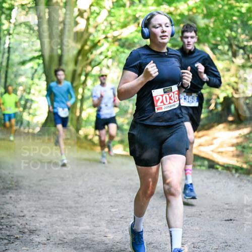 28.09.2025 - 33. Volkslauf durch das schöne Alstertal Dr. Thomas Lammeyer http://msf.ph/oto/8956148 28.09.2025 10:43:54 Laufen 2036, 3368, 39 meine-sportfotos.de