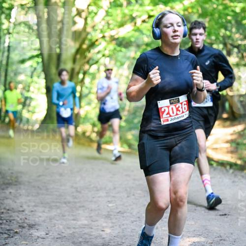 28.09.2025 - 33. Volkslauf durch das schöne Alstertal Dr. Thomas Lammeyer http://msf.ph/oto/8956149 28.09.2025 10:43:54 Laufen 2036, 1 meine-sportfotos.de