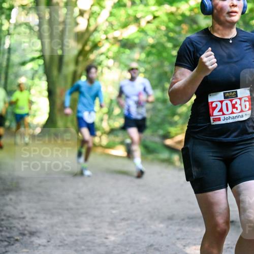 28.09.2025 - 33. Volkslauf durch das schöne Alstertal Dr. Thomas Lammeyer http://msf.ph/oto/8956153 28.09.2025 10:43:55 Laufen 2036, 368 meine-sportfotos.de