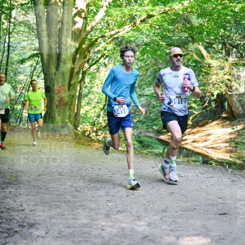 28.09.2025 - 33. Volkslauf durch das schöne Alstertal Dr. Thomas Lammeyer http://msf.ph/oto/8956155 28.09.2025 10:43:55 Laufen 3075, 2185, 3416, 3910 meine-sportfotos.de