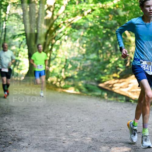 28.09.2025 - 33. Volkslauf durch das schöne Alstertal Dr. Thomas Lammeyer http://msf.ph/oto/8956163 28.09.2025 10:43:56 Laufen 3416 meine-sportfotos.de