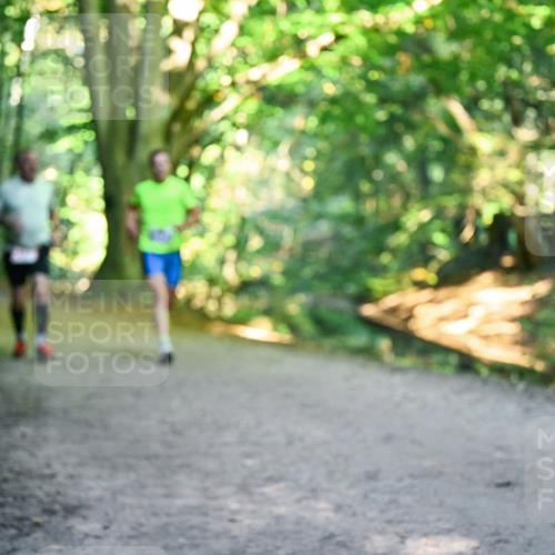 28.09.2025 - 33. Volkslauf durch das schöne Alstertal Dr. Thomas Lammeyer http://msf.ph/oto/8956165 28.09.2025 10:43:57 Laufen 341 meine-sportfotos.de