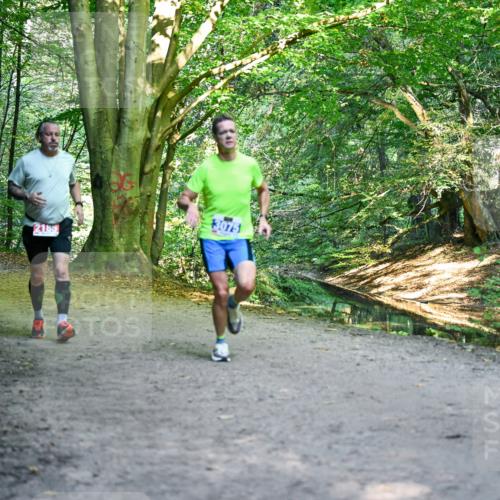 28.09.2025 - 33. Volkslauf durch das schöne Alstertal Dr. Thomas Lammeyer http://msf.ph/oto/8956168 28.09.2025 10:43:58 Laufen 3075, 2185 meine-sportfotos.de