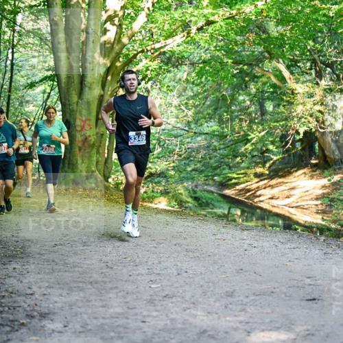 28.09.2025 - 33. Volkslauf durch das schöne Alstertal Dr. Thomas Lammeyer http://msf.ph/oto/8956195 28.09.2025 10:44:05 Laufen 2397, 2417, 3349, 2398 meine-sportfotos.de