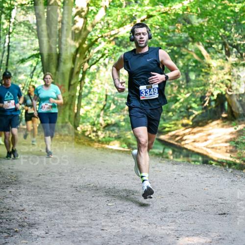 28.09.2025 - 33. Volkslauf durch das schöne Alstertal Dr. Thomas Lammeyer http://msf.ph/oto/8956201 28.09.2025 10:44:06 Laufen 3349 meine-sportfotos.de