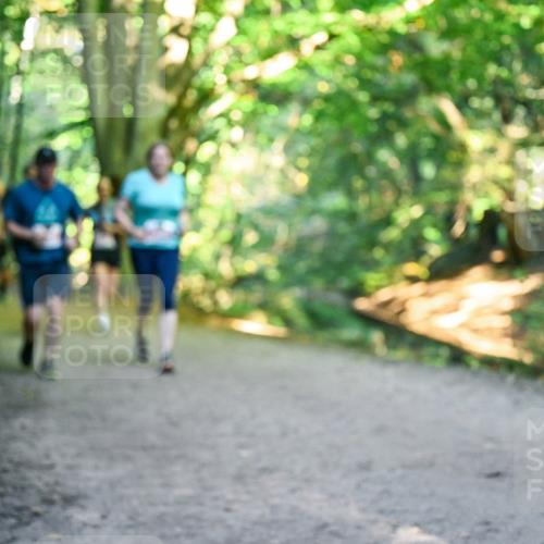 28.09.2025 - 33. Volkslauf durch das schöne Alstertal Dr. Thomas Lammeyer http://msf.ph/oto/8956210 28.09.2025 10:44:07 Laufen  meine-sportfotos.de