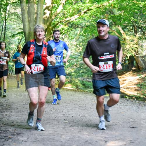 28.09.2025 - 33. Volkslauf durch das schöne Alstertal Dr. Thomas Lammeyer http://msf.ph/oto/8956274 28.09.2025 10:44:16 Laufen 2369, 2414, 365, 2413 meine-sportfotos.de