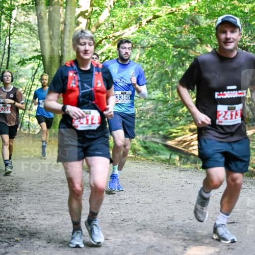 28.09.2025 - 33. Volkslauf durch das schöne Alstertal Dr. Thomas Lammeyer http://msf.ph/oto/8956277 28.09.2025 10:44:16 Laufen 2369, 2414, 3365, 2413 meine-sportfotos.de