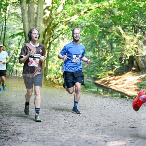 28.09.2025 - 33. Volkslauf durch das schöne Alstertal Dr. Thomas Lammeyer http://msf.ph/oto/8956285 28.09.2025 10:44:18 Laufen 3392, 2369, 3374 meine-sportfotos.de