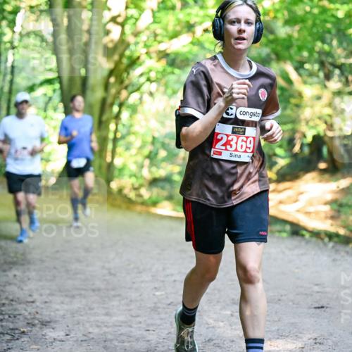 28.09.2025 - 33. Volkslauf durch das schöne Alstertal Dr. Thomas Lammeyer http://msf.ph/oto/8956297 28.09.2025 10:44:20 Laufen 2369 meine-sportfotos.de