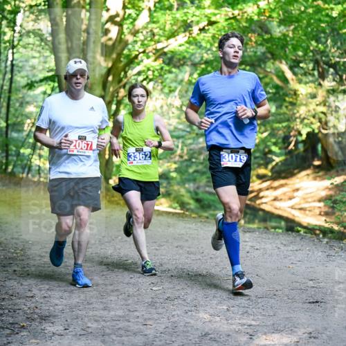 28.09.2025 - 33. Volkslauf durch das schöne Alstertal Dr. Thomas Lammeyer http://msf.ph/oto/8956309 28.09.2025 10:44:22 Laufen 2067, 3362, 3079 meine-sportfotos.de