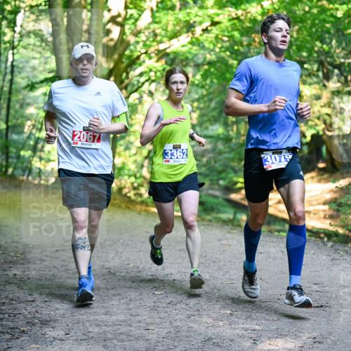 28.09.2025 - 33. Volkslauf durch das schöne Alstertal Dr. Thomas Lammeyer http://msf.ph/oto/8956311 28.09.2025 10:44:22 Laufen 2067, 3362, 3079 meine-sportfotos.de