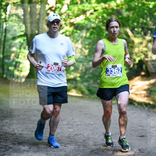 28.09.2025 - 33. Volkslauf durch das schöne Alstertal Dr. Thomas Lammeyer http://msf.ph/oto/8956316 28.09.2025 10:44:23 Laufen 2067, 3362, 3079 meine-sportfotos.de